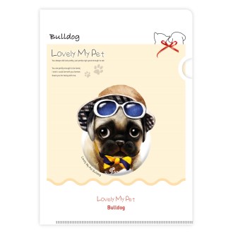 LȦ�� ������ ������ No.12 �ҵ�