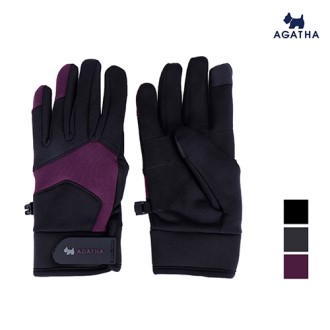 �ư�Ÿ �������� ����� �����尩