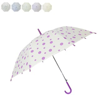 ������ ������ ��� ���