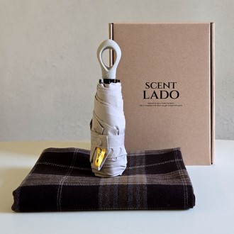 ��Ʈ�� ���� �װ���� + ��Ƽ���� 5�� ���� ��Ʈ