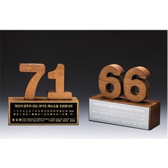 [Ʈ����] ������� ��Ż ������ TR51 ������ �������� �̱� Ȧ�ο� Ʈ����