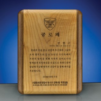 �Ӹ� ������� ���� ���� ������ SW-005-01