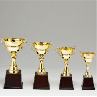 ��� ��ȸ �û� Ʈ���� ����ȭ�� D �ֹ� ����