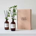 ��Ʈ�� ��ǻ�� �׸������� 200ml 2P ��Ʈ